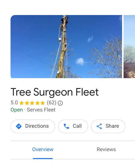 tree surgeon fleet - fleet tree surgeons